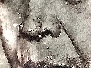 James Porrit - Olfactory Categoriser