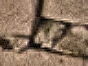 Paranoia Nose Sample